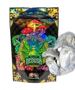 Buy APE Albino Penis Envy Magic Mushrooms Medusa Extracts Online in Canada - Nupep Shrooms