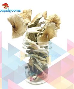 Buy African Transkei Mushrooms Online in Canada - Nupep Shrooms