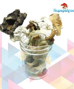 Buy Amazonian Cubensis Mushrooms Online in Canada - Nupep Shrooms