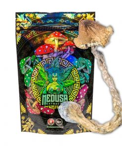 Buy Amazonian Magic Mushrooms Medusa Extracts Online in Canada - Nupep Shrooms
