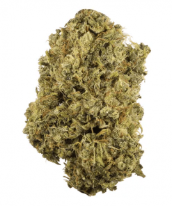 Buy BLACK DIAMOND OG HYBRID Cannabis Weed Online - Nupep Shrooms Dispensary Canada