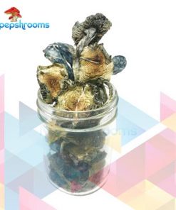 Buy Blue Meanie Cubensis Mushrooms Online in Canada - Nupep Shrooms