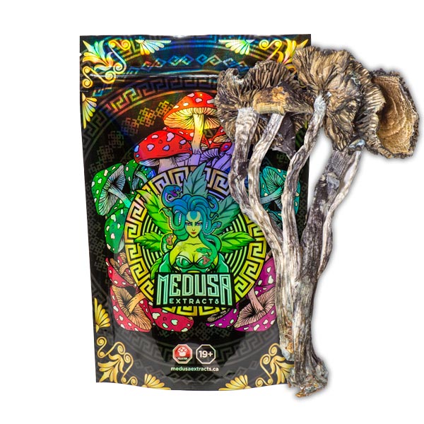Buy Blue Meanie Magic Mushrooms Medusa Extracts Online in Canada - Nupep Shrooms Buy Blue Meanie Magic Mushrooms Medusa Extracts Online in Canada - Nupep Shrooms