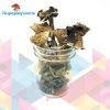 Buy Brazilian Magic Mushrooms Online in Canada - Nupep Shrooms