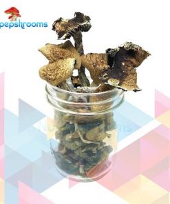 Buy Brazilian Magic Mushrooms Online in Canada - Nupep Shrooms