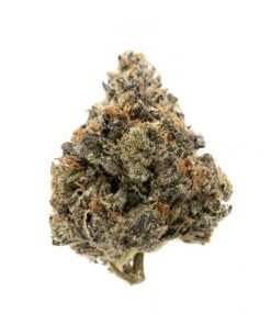 Buy Rockstar Indica Cannabis Weed Online in Canada - Nupep Shrooms