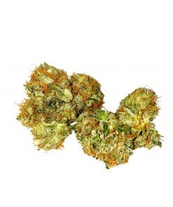 Buy JUICY FRUIT Hybrid Cannabis Weed Online in Canada - Nupep Shrooms