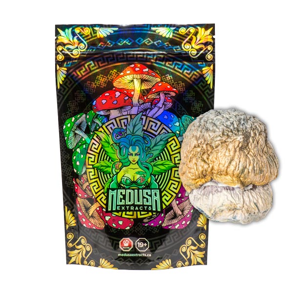 Buy Penis Envy Dino Egg Magic Mushrooms *VERY POTENT* Medusa Extracts Online in Canada - Nupep Shrooms Buy Penis Envy Dino Egg Magic Mushrooms *VERY POTENT* Medusa Extracts Online in Canada - Nupep Shrooms