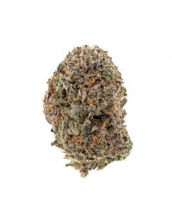 Buy God’s Green Crack Hybrid Cannabis Weed Online in Canada - Nupep Shrooms