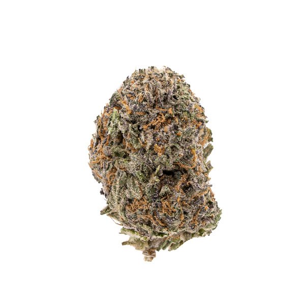 Buy God’s Green Crack Hybrid Cannabis Weed Online in Canada - Nupep Shrooms Buy God’s Green Crack Hybrid Cannabis Weed Online in Canada - Nupep Shrooms