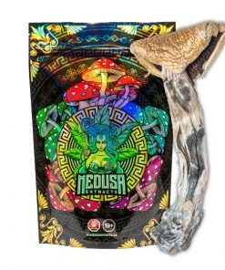 Buy Golden Teachers Magic Mushrooms Medusa Extracts Online in Canada - Nupep Shrooms