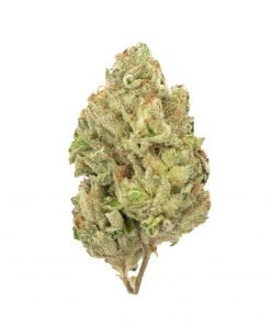 Buy Gorilla Bomb Sativa Cannabis Weed Online in Canada - Nupep Shrooms