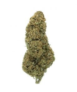 Buy Hempstar Sativa Cannabis Weed Online in Canada - Nupep Shrooms