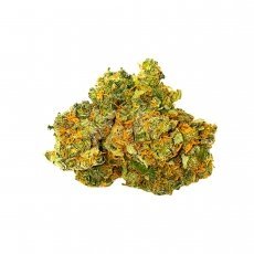 Buy ORANGE DREAM Sativa (AAA) Cannabis Weed Online in Canada - Nupep Shrooms