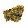 Buy BLUE COMA Hybrid Cannabis Weed Online in Canada - Nupep Shrooms