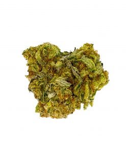 Buy GELATO Hybrid (AAA) Cannabis Weed Online in Canada - Nupep Shrooms