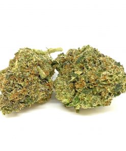 Buy PINK KUSH Indica (AAAA) Cannabis Weed Online in Canada - Nupep Shrooms