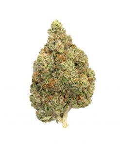 Buy Master Kush Indica Cannabis Weed Online in Canada - Nupep Shrooms