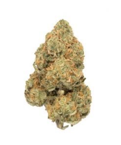 Buy NYC Diesel Sativa Cannabis Weed Online in Canada - Nupep Shrooms