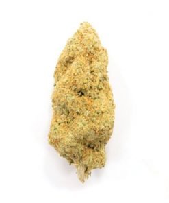 Buy Orange Cookies Sativa Cannabis Weed Online in Canada - Nupep Shrooms
