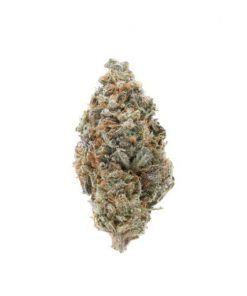 Buy Orange Toffee Sativa Cannabis Weed Online in Canada - Nupep Shrooms