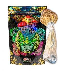 Buy Penis Envy Magic Mushrooms Medusa Extracts Online in Canada - Nupep Shrooms