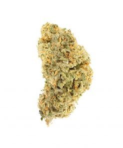 Buy Pineapple Express Hybrid Cannabis Weed Online in Canada - Nupep Shrooms