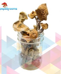 Buy Premium Penis Envy Magic Mushrooms Online in Canada - Nupep Shrooms