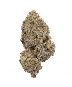 Buy Purple Space Cookies Hybrid Cannabis Weed Online in Canada - Nupep Shrooms