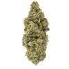 Buy Red Diesel Sativa Cannabis Weed Online in Canada - Nupep Shrooms