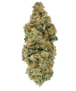 Buy Red Diesel Sativa Cannabis Weed Online in Canada - Nupep Shrooms