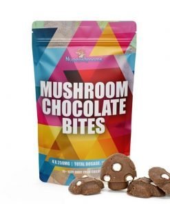 Buy Shroom Infused Chocolate Bites Online in Canada - Nupep Shrooms