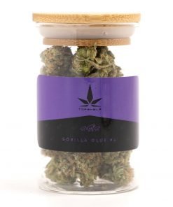 Buy Top Shelf – Jars Gorilla Glue Online in Canada - Nupep Shrooms