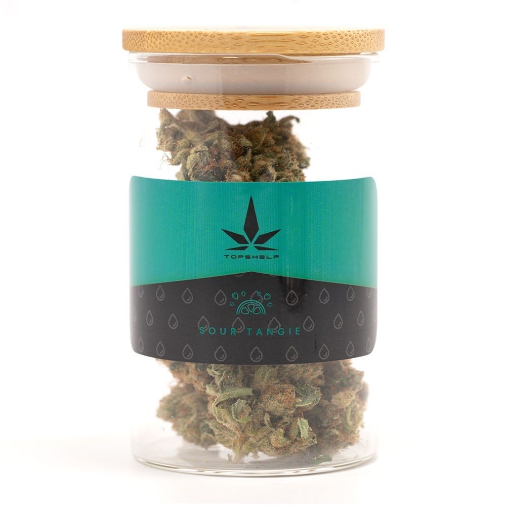 Buy Top Shelf – Jars Sour Tangie Online in Canada - Nupep Shrooms Buy Top Shelf – Jars Sour Tangie Online in Canada - Nupep Shrooms