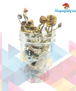 Buy Transkei Cubensis Mushrooms Online - Nupep Shrooms Dispensary Canada