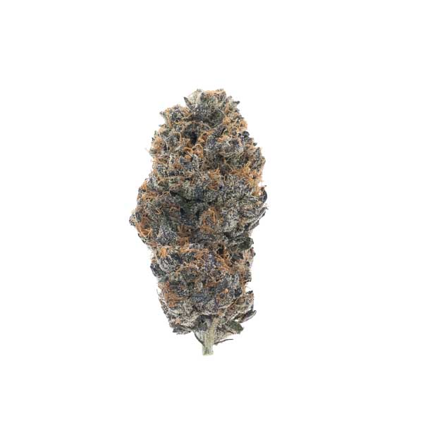 Buy Wedding Cake Indica Cannabis Weed Online in Canada - Nupep Shrooms Buy Wedding Cake Indica Cannabis Weed Online in Canada - Nupep Shrooms