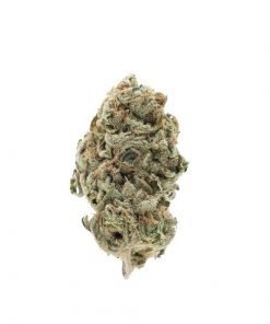 Buy White Gummy Hybrid Cannabis Weed Online in Canada - Nupep Shrooms