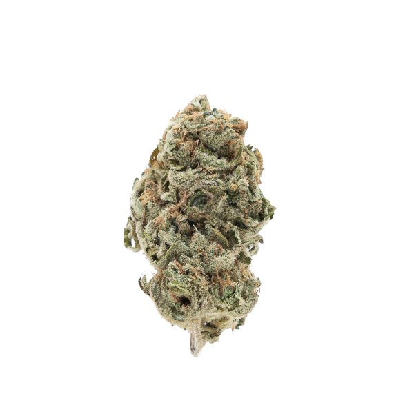 Buy White Gummy Hybrid Cannabis Weed Online in Canada - Nupep Shrooms Buy White Gummy Hybrid Cannabis Weed Online in Canada - Nupep Shrooms