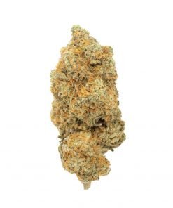 Buy White Widow Hybrid Cannabis Weed Online in Canada - Nupep Shrooms