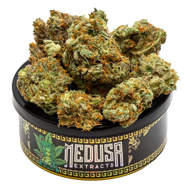 Buy Blueberry Kush Tuna Can Medusa Extracts Online in Canada - Nupep Shrooms Buy Blueberry Kush Tuna Can Medusa Extracts Online in Canada - Nupep Shrooms