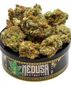 Buy Death Bubba Tuna Can Medusa Extracts Online in Canada - Nupep Shrooms