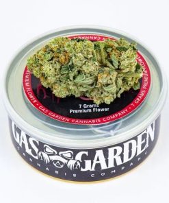 Buy Tuna Can Cannabis 7g Mint Chocolate Chip (Hybrid) – Gas Garden Online in Canada - Nupep Shrooms