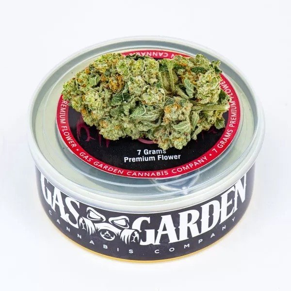 Buy Tuna Can Cannabis 7g Mint Chocolate Chip (Hybrid) – Gas Garden Online in Canada - Nupep Shrooms