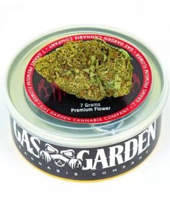 Buy Tuna Can Cannabis 7g Gelato Mint (Hybrid) – Gas Garden Online in Canada - Nupep Shrooms