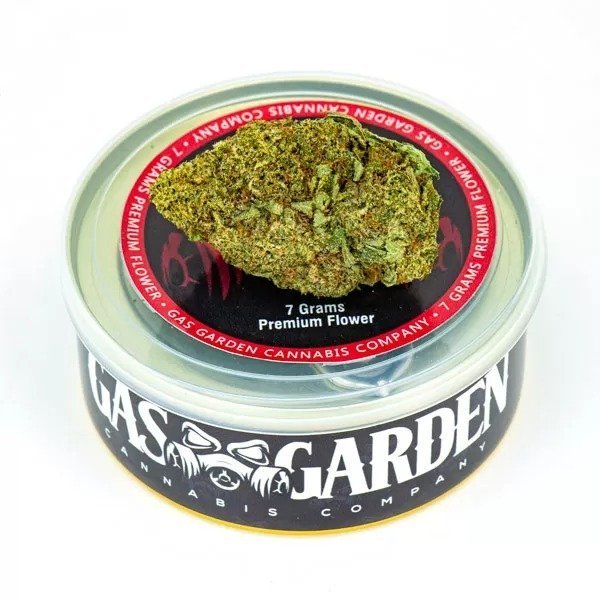 Buy Tuna Can Cannabis 7g Gelato Mint (Hybrid) – Gas Garden Online in Canada - Nupep Shrooms Buy Tuna Can Cannabis 7g Gelato Mint (Hybrid) – Gas Garden Online in Canada - Nupep Shrooms