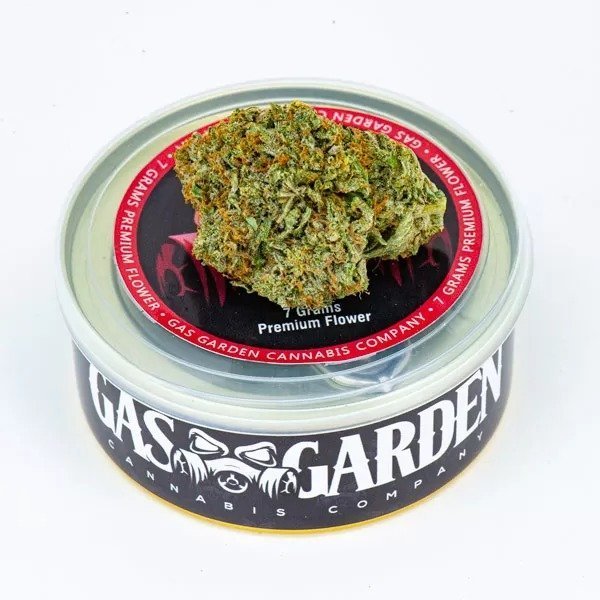 Buy Tuna Can Cannabis 7g French Cookie (Hybrid) – Gas Garden Online in Canada - Nupep Shrooms Buy Tuna Can Cannabis 7g French Cookie (Hybrid) – Gas Garden Online in Canada - Nupep Shrooms