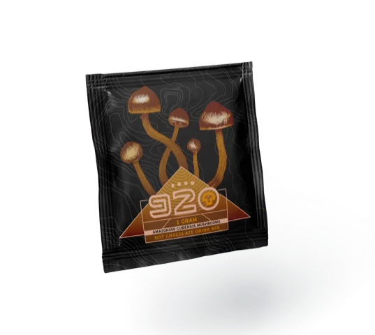 Buy 920 Hot Chocolate – 1000mg Online in Canada - Nupep Shrooms Buy 920 Hot Chocolate – 1000mg Online in Canada - Nupep Shrooms