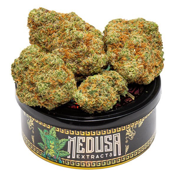 Buy Jack Herer Tuna Can Medusa Extracts Online in Canada - Nupep Shrooms Buy Jack Herer Tuna Can Medusa Extracts Online in Canada - Nupep Shrooms