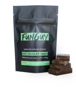 Buy FunGuy – Mint Chocolate Crunch 3000mg Online in Canada - Nupep Shrooms