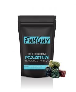 Buy FunGuy – Assorted Gummy Bears 1000mg Online in Canada - Nupep Shrooms